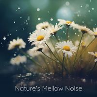 Natural Sound Makers - Nature's Mellow Noise
