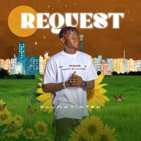 Oluwatinted - Request