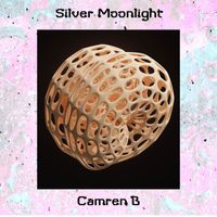 Camren B - Silver Moonlight