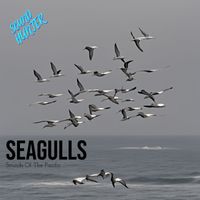 Sound Hunter - Seagulls (Sounds Of The Pacific)