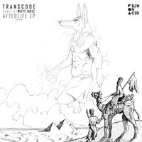Transcode - Afterlife