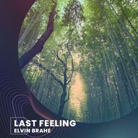 Elvin Brahe - Last Feeling