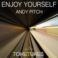 Andy Pitch - Enjoy Yourself - Single
