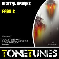 Fabric - Digital Breaks