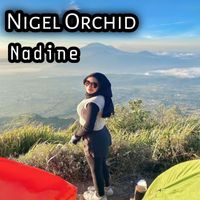 Nadine - Nigel Orchid