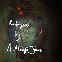 Meilyr Jones - Refugees