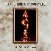 Brighter Than A Thousand Suns - What I Won't Do
