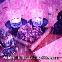 Forest Sounds - 68 Meditation Natural Release