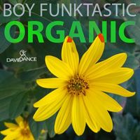 Boy Funktastic - Organic