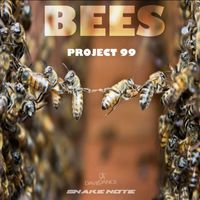 Project 99 - Bees - Single
