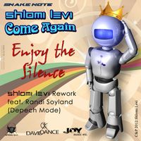 Shlomi Levi - Enjoy The Silence Rework