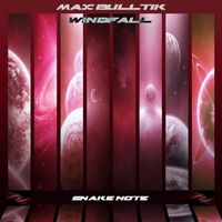 Max Bulltik - Windfall