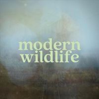 Modern Wildlife - Particles
