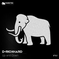 D-Richhard - Up and Down