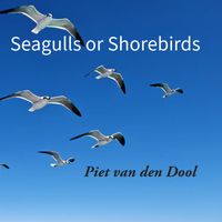 Piet van den Dool - Seagulls or Shorebirds