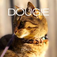 Forest - Dougie