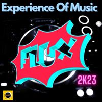 Experience Of Music - Flux 2k23