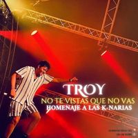 Troy - No Te Vistas Que No Vas (Cover)
