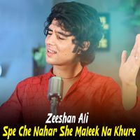 Zeeshan Ali - Spe Che Nahar She Maleek Na Khure