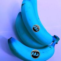 Raz - Bananas (feat. Andy Watson)