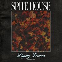 Spite House - Dying Leaves (Acoustic)