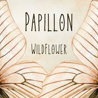 WildFlower - Papillon