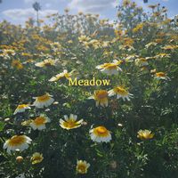 Sola - Meadow