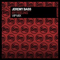Jeremy Bass - My Feeling (VIP Mix)