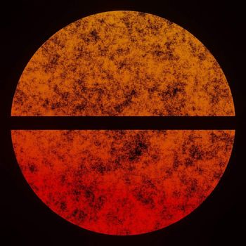 Zane Alexander - Polychrome