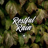 ASMR - Restful Rain