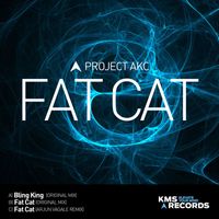 PROJECT AKC - Fat Cat EP