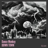 DJ Luke - Dance Monkey Down Town