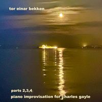 Tor Einar Bekken - Piano Improvisation For Charles Gayle - Parts 2,3,4