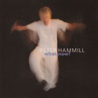 Peter Hammill - What, Now?