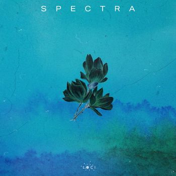 TENEM - Spectra