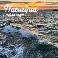 Naturljud - Ljud av vågor