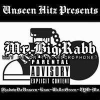 Mr. Big Rabb - Why He On the Microphone (Explicit)