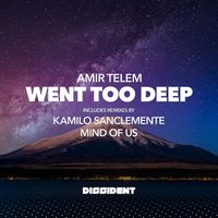 Amir Telem - Went Too Deep