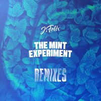 J-Felix - THE MiNT EXPERiMENT Remixes