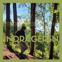 Indragersn - Best Of INDRAGERSN, Vol. 3