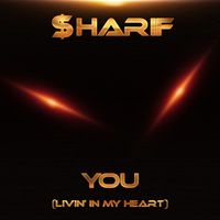 $harif - You (Livin' in my heart)