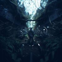 The Microgram - Forestry