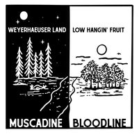 Muscadine Bloodline - Weyerhaeuser Land / Low Hangin' Fruit