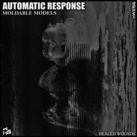 Automatic Response - Moldable Models