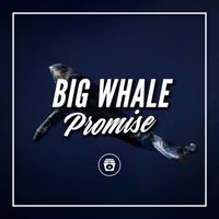 Deep Sleep - Big Whale Promise