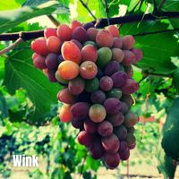 UUN - Wink