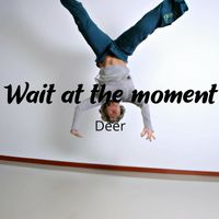 Deer - Wait at the moment