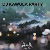 Shaka - Dj Kawula Party (Explicit)