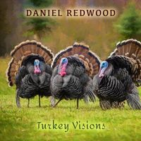 Daniel Redwood - Turkey Visions