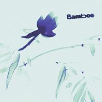 Ciel - Bamboo